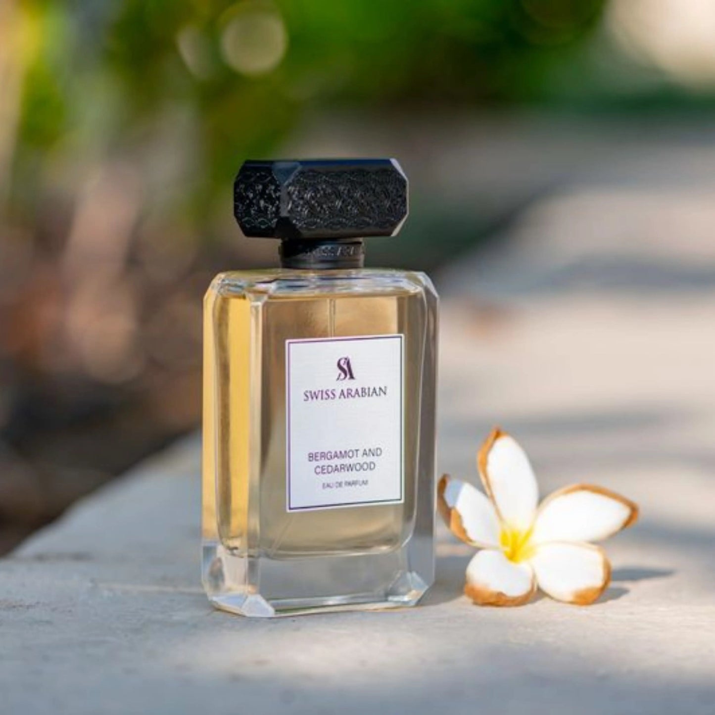 Swiss Arabian Bergamot and Cedarwood Masculine Aromatic Woody Fougère Fragrance