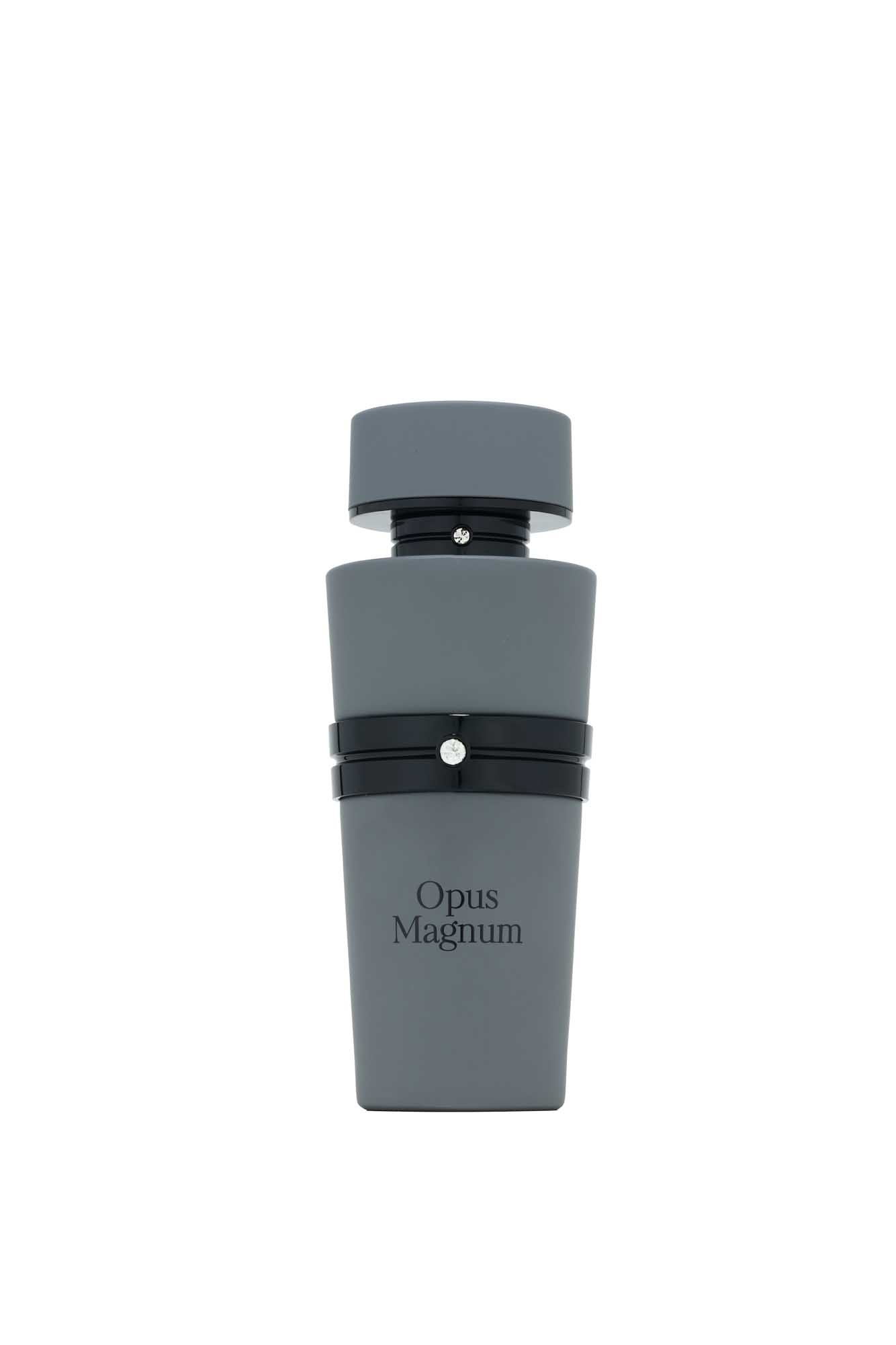 Fragrance World Opus Magnum Ambery Woody Spicy Men's Perfume