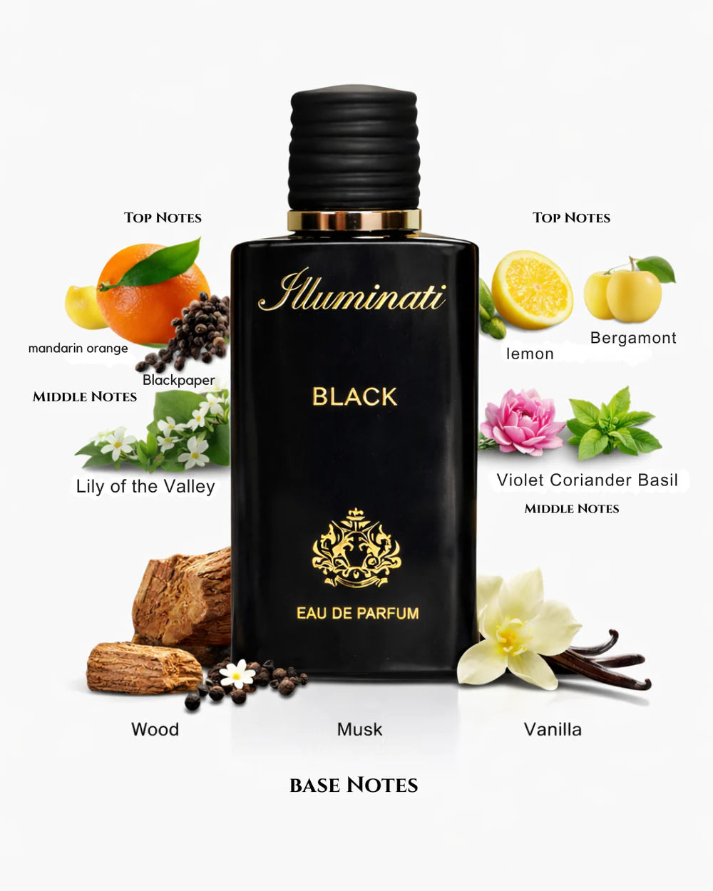 ILLUMINATI BLACK