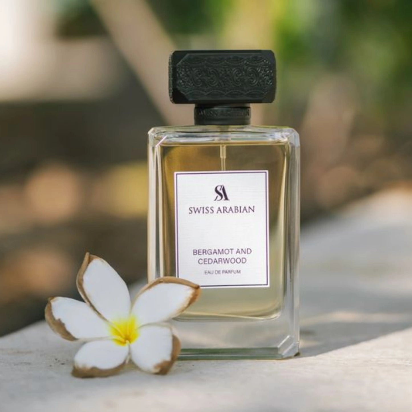 Swiss Arabian Bergamot and Cedarwood Masculine Aromatic Woody FougÃ¨re Fragrance