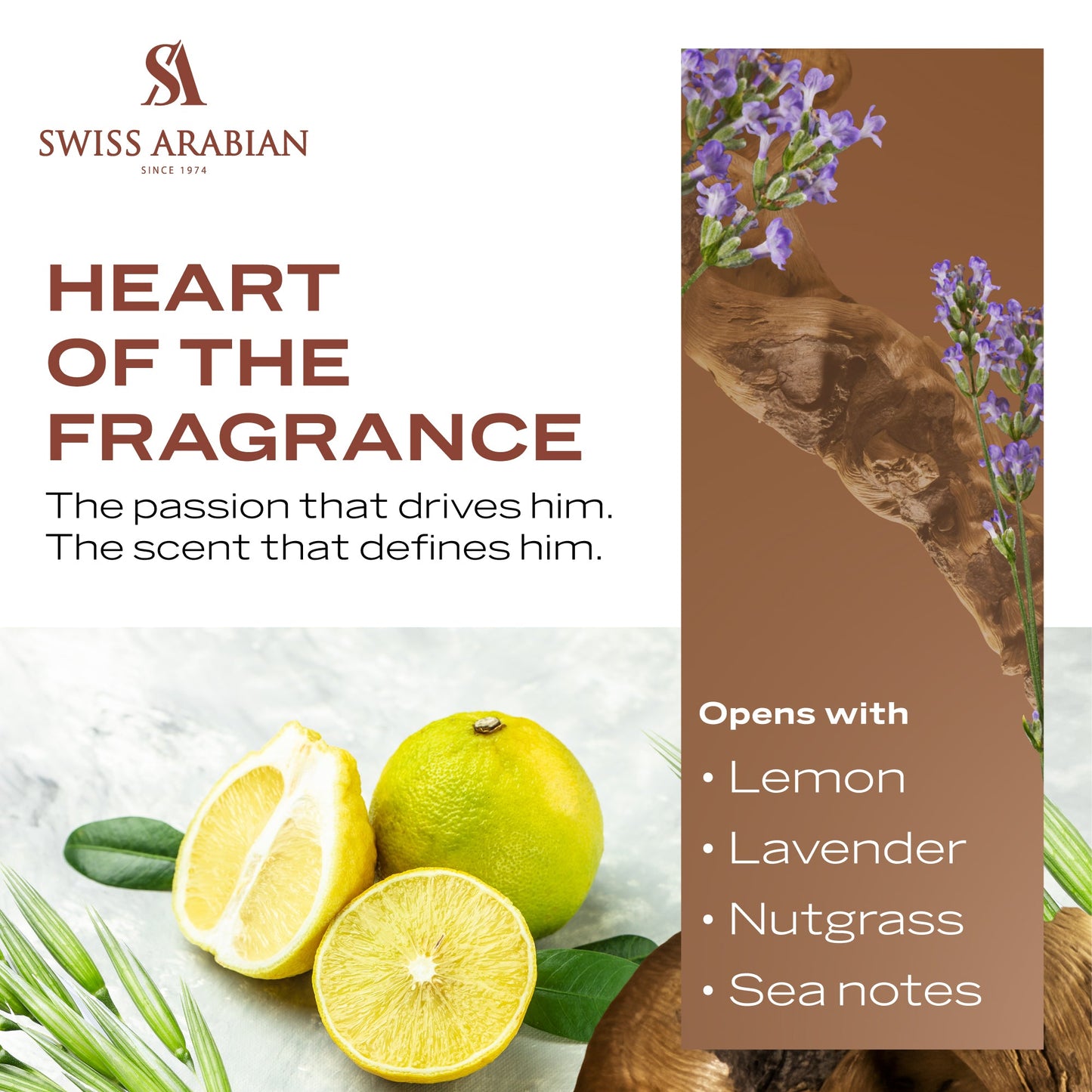 Swiss Arabian Shaghaf for Men Intense Oriental Woody Fragrance