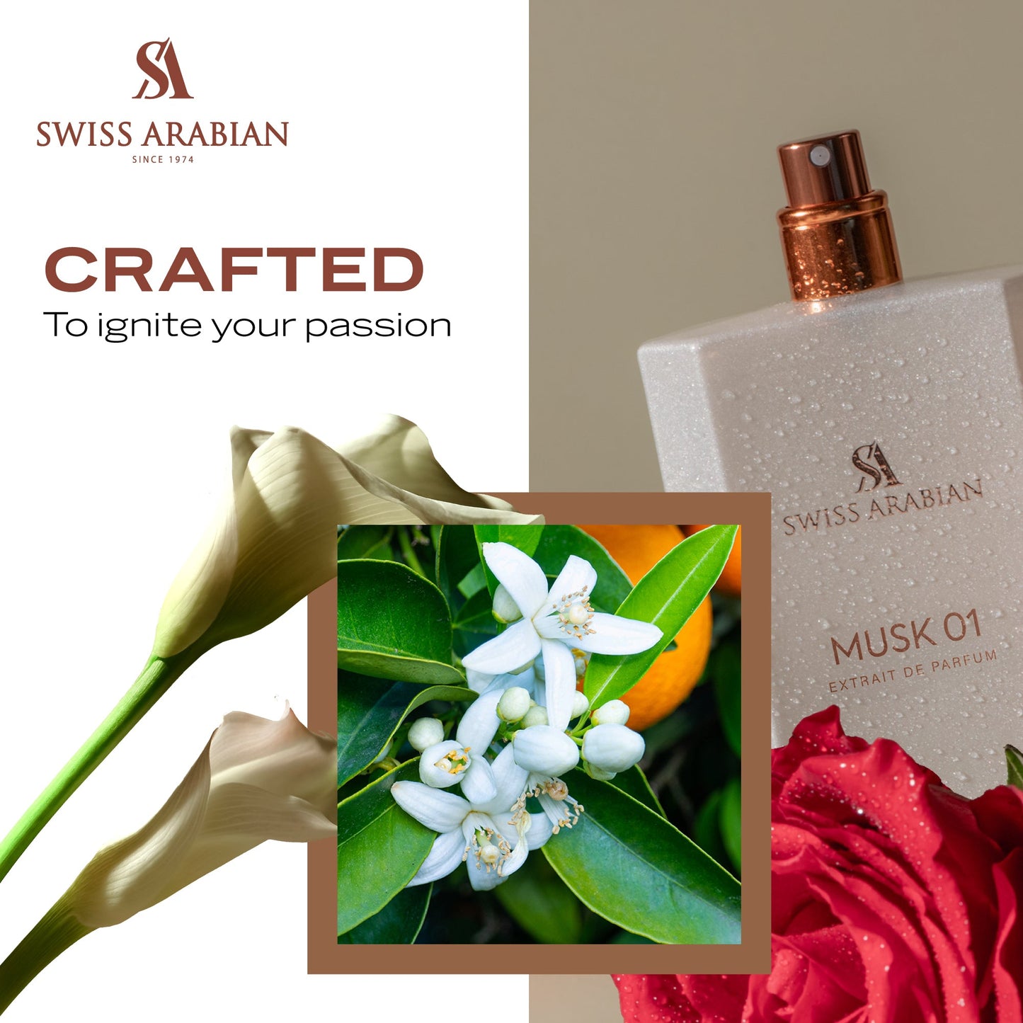 Swiss Arabian Musk 01 Luxury Unisex Perfume with Sandalwood and Vanilla