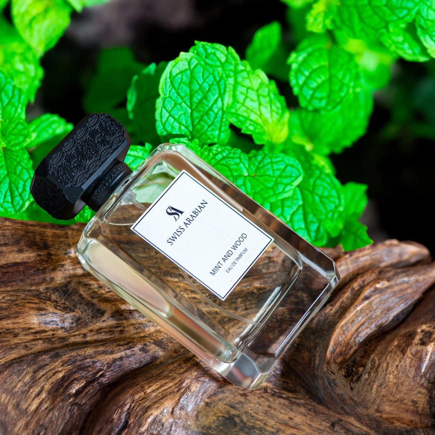 Swiss Arabian Mint and Wood Sophisticated Fresh Men's Eau de Parfum