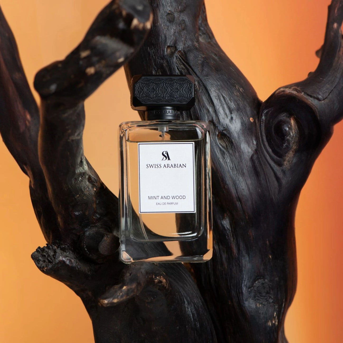Swiss Arabian Mint and Wood Sophisticated Fresh Men's Eau de Parfum
