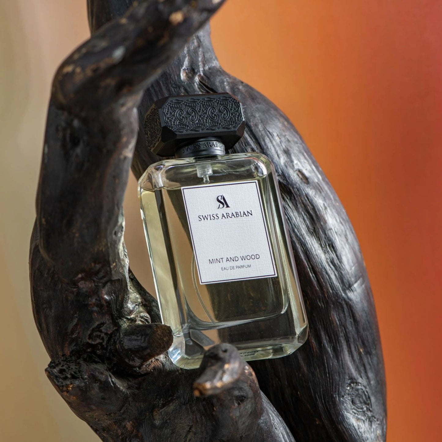 Swiss Arabian Mint and Wood Sophisticated Fresh Men's Eau de Parfum