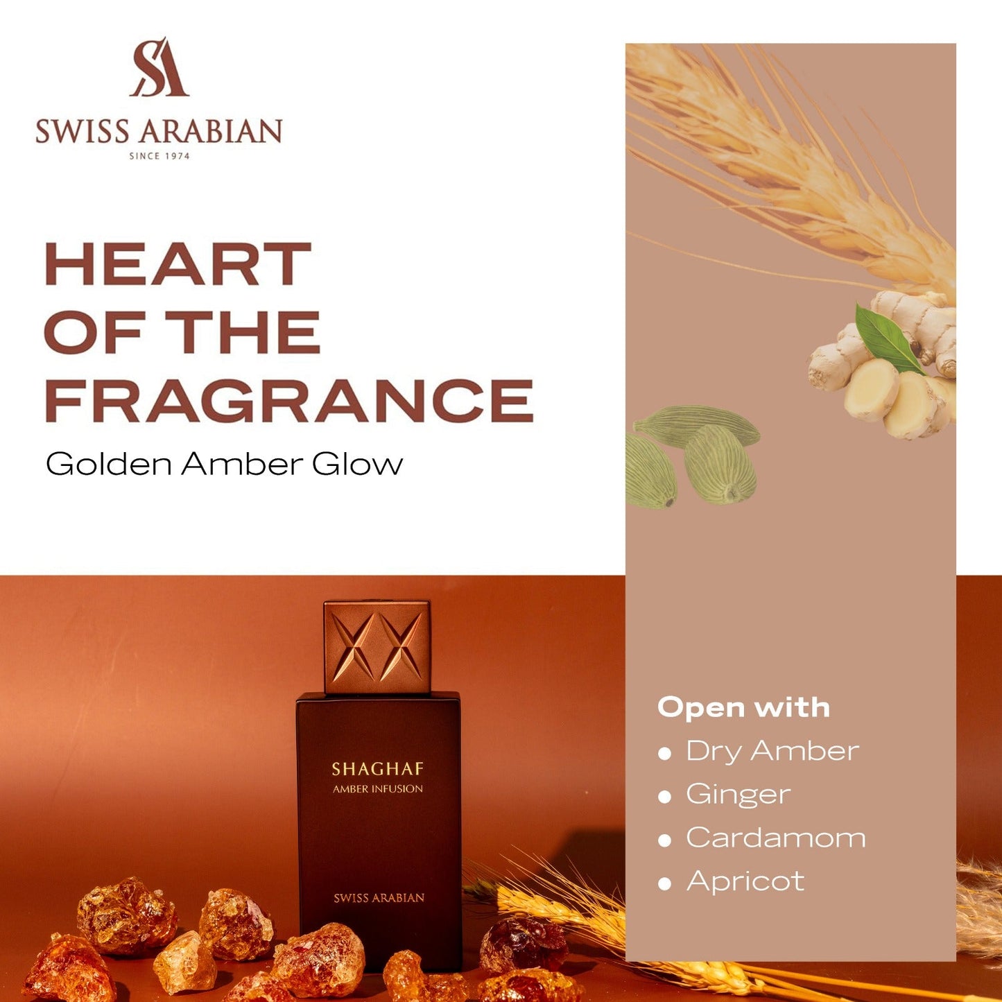 Shaghaf Amber Infusion Warm Spicy Long Lasting Luxury Perfume