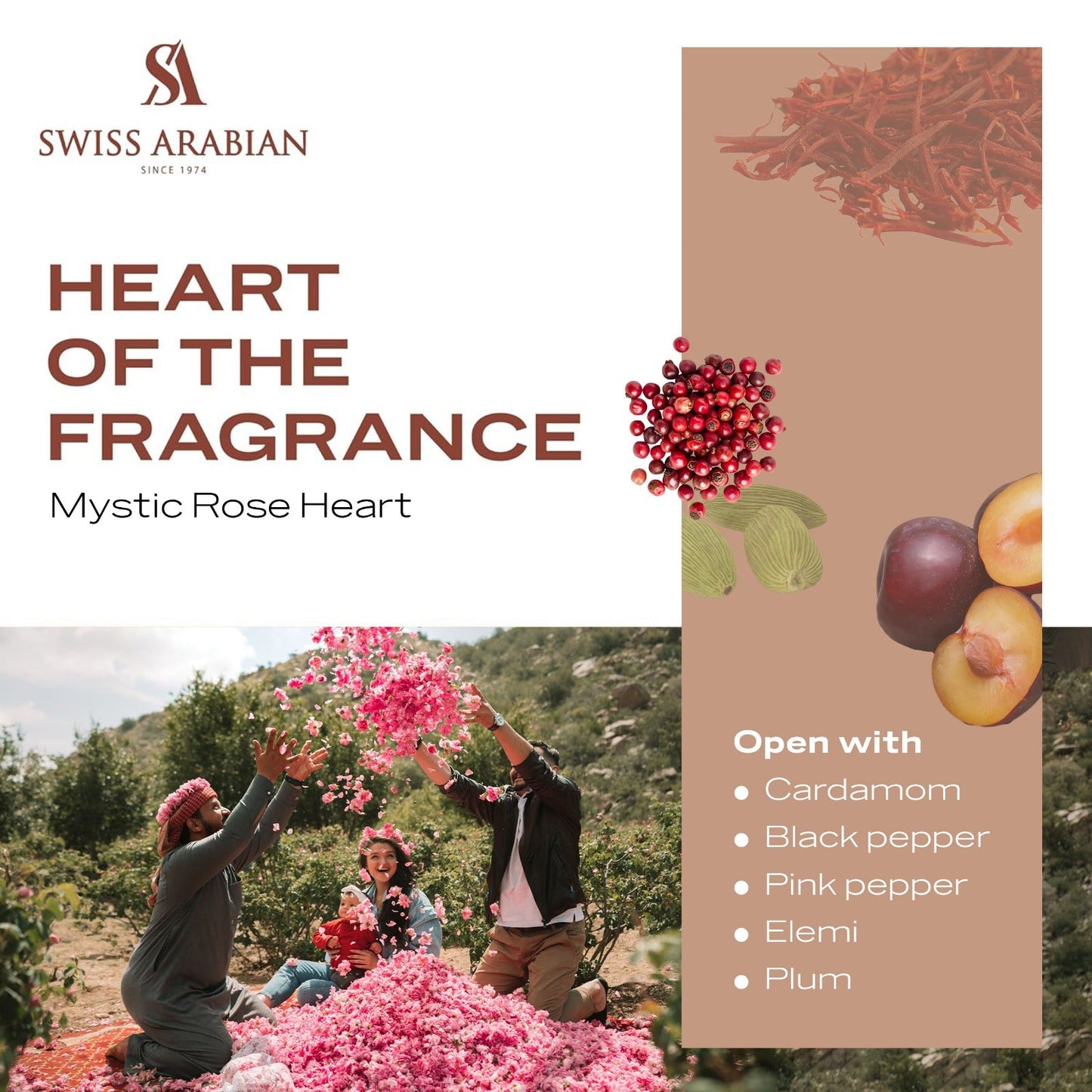 Enigma of Taif Bold Rose Fragrance with Warm Spicy Amber