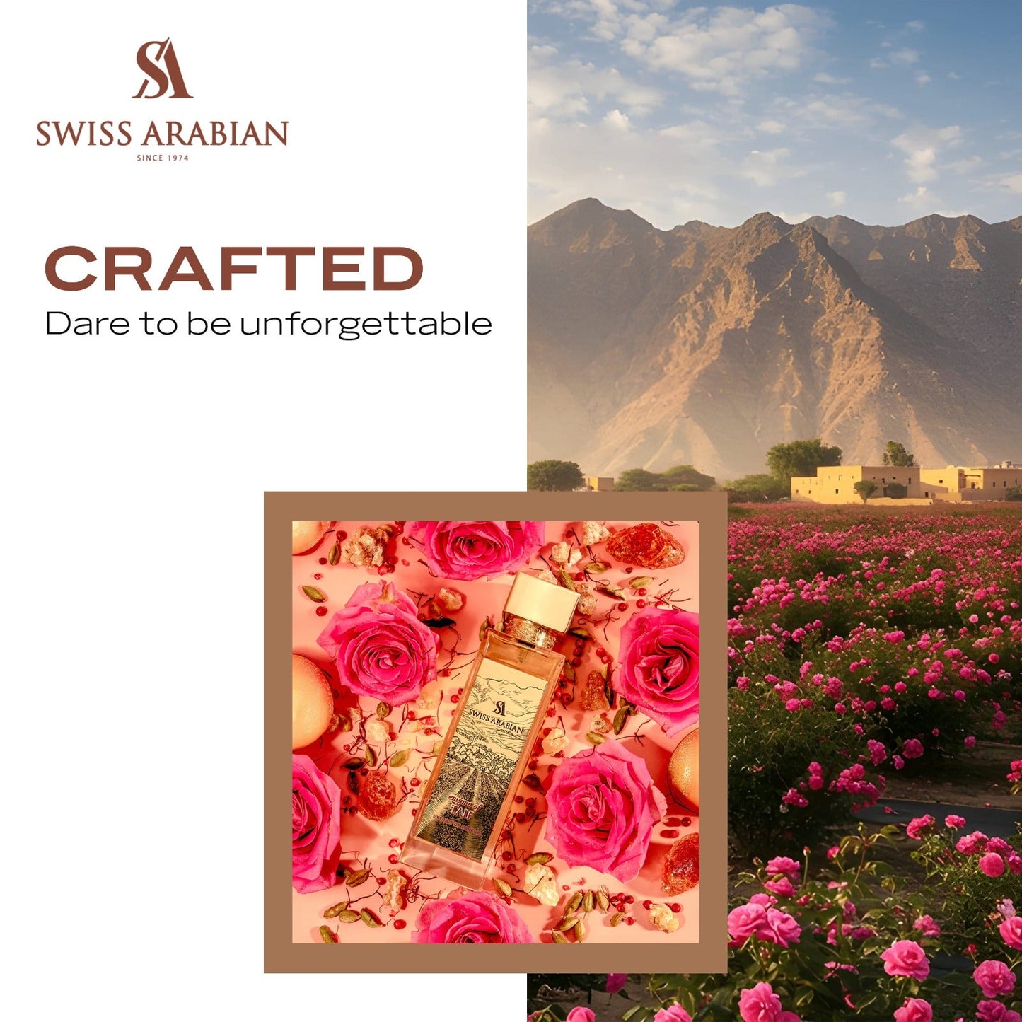 Enigma of Taif Bold Rose Fragrance with Warm Spicy Amber