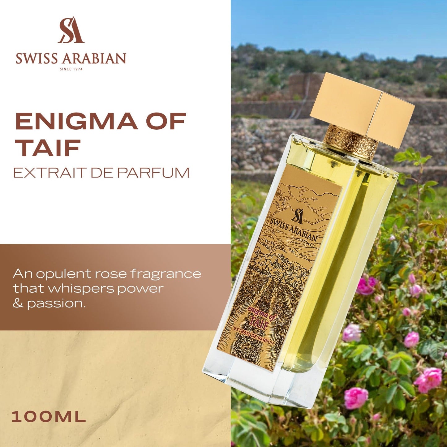Enigma of Taif Bold Rose Fragrance with Warm Spicy Amber